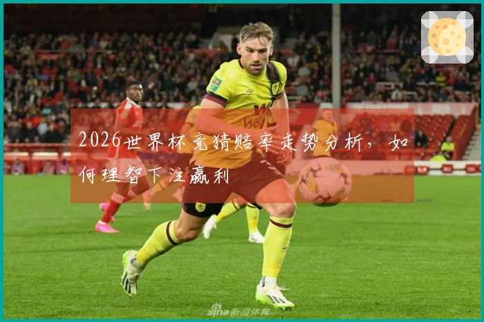 2026世界杯竞猜赔率走势分析，如何理智下注赢利