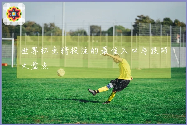 世界杯竞猜投注的最佳入口与技巧大盘点