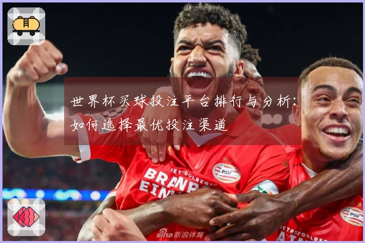 世界杯买球投注平台排行与分析：如何选择最优投注渠道