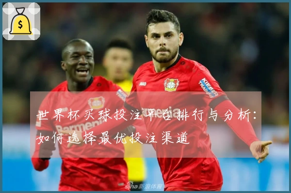 世界杯买球投注平台排行与分析：如何选择最优投注渠道