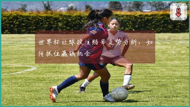 世界杯让球投注赔率走势分析，如何抓住赢钱机会