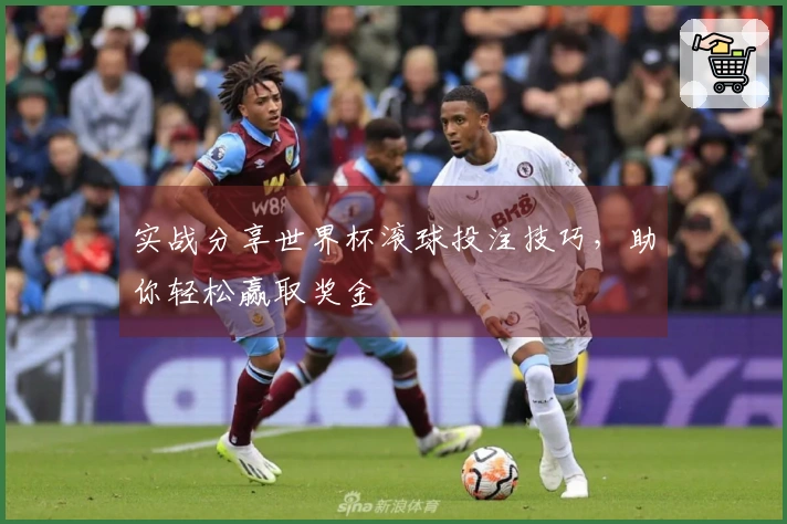 实战分享世界杯滚球投注技巧，助你轻松赢取奖金