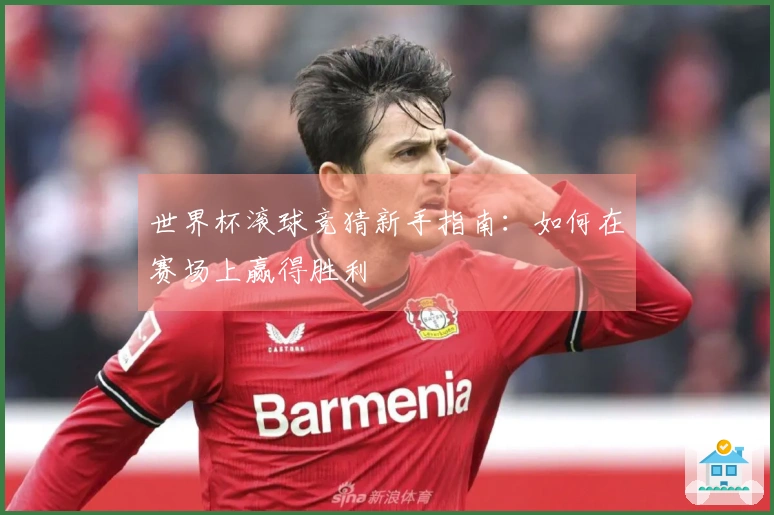 世界杯滚球竞猜新手指南：如何在赛场上赢得胜利