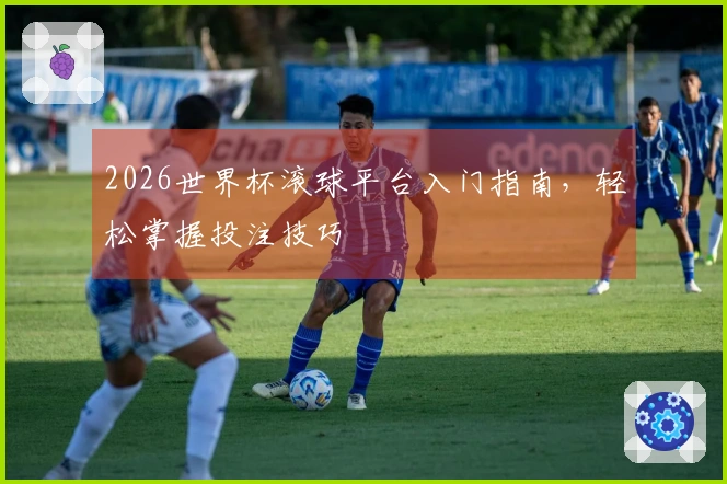 2026世界杯滚球平台入门指南，轻松掌握投注技巧