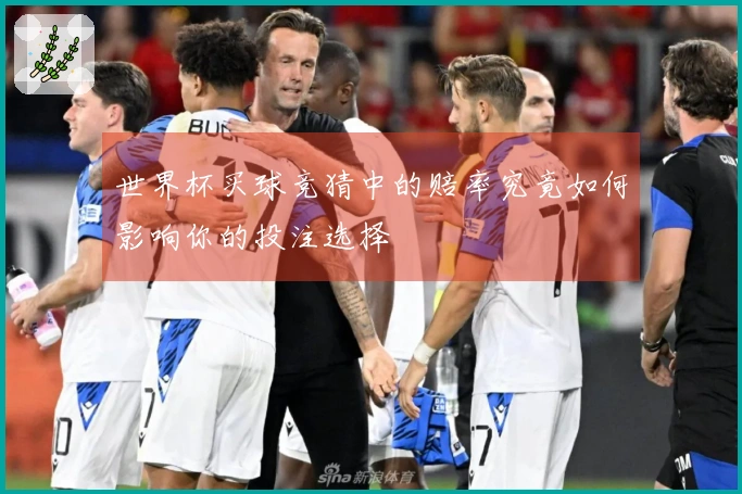 世界杯买球竞猜中的赔率究竟如何影响你的投注选择